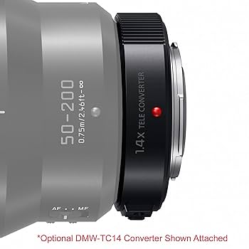 Amazon.com : PANASONIC LUMIX Professional 50-200mm Camera